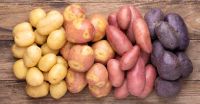 Ã¢ï¿½ï¿½ Quality Fresh Irish Potatoes