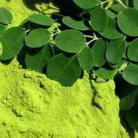 Moringa Powder