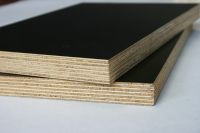 phenolic board black film faced plywood thickness 12 mm