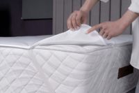 Mattress And Pillow Protector