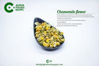 chamomile flower