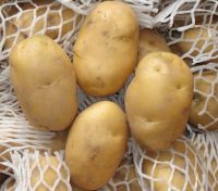 Best fresh potato