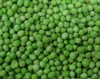 Quality Green peas