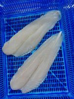 Frozen Pangasius - Fillet