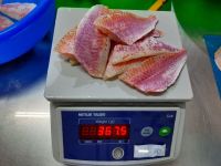 Frozen Red Mullet Fillet