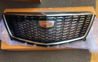 Front grille, middle mesh