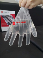 Purchase Wholesale Glean XL Size Plastic gloves from Manufacturer Plastic come from Vietnam OEM Customized needs