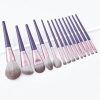 14 Pcs All in One Makeup Kit,Purple Cheap Professional Travel Makeup Brushes Set Under 10 Dollars
