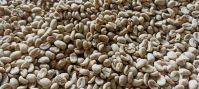 REGULER JAVA PREANGER ARABICA COFFEE (Full Washed)