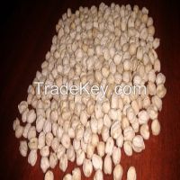 Salted roasted yellow chickpeas manufacturer custom packing wholesale price for export