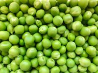 Natural Grade Organic Green Peas Hot Sale Factory Price Green Peas Supplier 