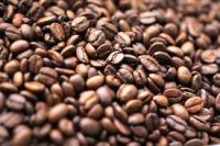 Oem/odm Factory Customization Classic Espresso Coffee Beans Oem Service Best Price