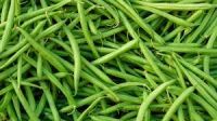 French Green Bean...