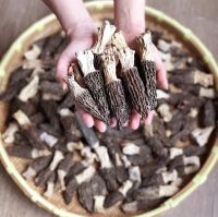 Best Quality Wholesale Bulk Morel Mushroom / Dried Black Morel Mushroom