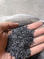 Rice husk charcoal