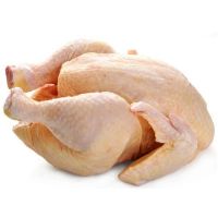 Top Selling Premium Halal Frozen Whole Chicken, Chicken Feet, Paws Frozen Chicken Paws Chicken