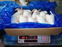 Halal Grade One Chicken Feet / Frozen Chicken Paws Brazil/CHicken Wings