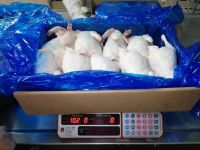 High Quality Meat & Poultry Products Halal ISO Gap Certification Frozen Chicken Feet from Brazil