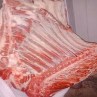 Processed Halal Frozen Beef / Halal Frozen Cow Meat