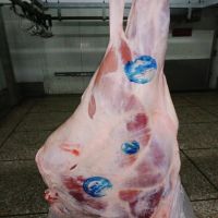 Processed HALAL Frozen Beef / HALAL Frozen Cow Meat