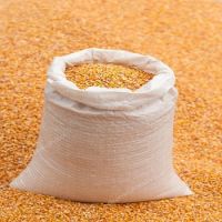 Maize Cattle Feed Yellow Corn Grain For Animal Yellow Corn Grain