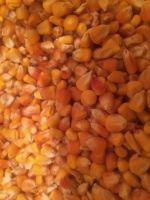Animal Feed Dry Maize/dried Yellow Corn/dried Sweet Corn Best Competitive Price