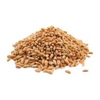 High Quality Soft Milling Wheat Grains by Verified Exporter