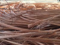 Super High Quality Copper Wire Scrap 99.9%/millberry Copper Scrap 99.99%