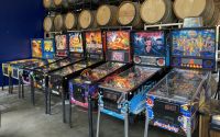 Newest Video 19 Inch Lc Pinball Machine Electronic Coin Operated Virtual Pinball Game