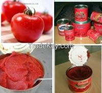 Organic Tomato Paste, Sterile Tomato Ketchup Easy Open Canned Tomato