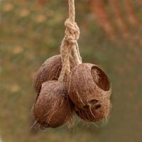 Coconut Shell Bird Feeder