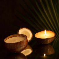 Soy Wax Candle | Natural Coconut Shell Candle | Organic and Toxic Free