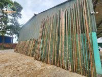 Natural Bamboo Raw Material Bamboo Stakes