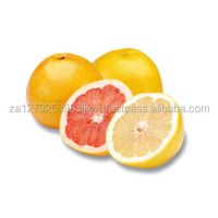 best selling fresh citrus fruit canned oranges OEM sweet style grapefruits fresh dark red grapefruit for sale