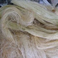 Sisal fiber about 90cm Eco-friendly sisal fiber used for Making Ceilings and Many More