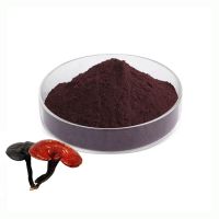 Bulk Organic Reishi Spore Powder Food Grade Broken Ganoderma Lucidum Spore Powder