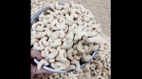 cashew nut africa CASHEW NUT WW320 WW240 food grade 50 kg bag 28MT 15days supplier unsalted cashew nuts