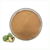 Factory Wholesale Artichoke Leaf Extract Powder 2.5% 5% Cynarin Artichoke Extract