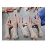 Whole Chicken / Frozen chicken feet/ Frozen chicken paws Bulk Best Price