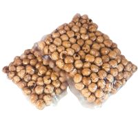 high quality Suppliers Roasted Hazelnut Cobnut Dry Hazelnuts for Sale Chinese Bag OEM Shell Box Style  hazelnuts kernels