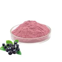 100% Organic Wild Cherry Berry Extract Polyphenol 25% Natural Wild Cherry Berry Powder