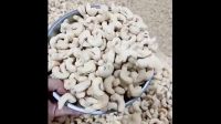 processed cashew nut sell  cheap food grade 50 kg bag 28MT 15days wholesale shelled cashew nut kernel