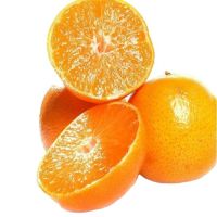 fresh mandarin orange lime yellow green style color weight origin type lemon size grade product fresh fruit place