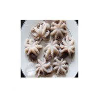 Fresh And Frozen Seafood Octopus Octopus Frozen Octopus For Sale