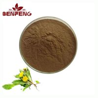 Factory Offers Dandelion Extract Powder Dandelion Root Extract Powder