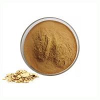 High Quality Astragalus Extract Powder Natural 10:1 Natural  Astragalus Root Extract
