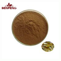 Wholesale Traditional Herb Phellodendron Amurense Extract Phellodendron Bark Powder