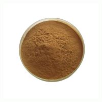 Top Quality Natural Morchella Powder Bulk Morel Mushroom Extract Powder