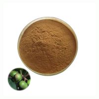Natural Prunus Africana Pygeum Bark Extract Powder 10:1 Prunus African Extract
