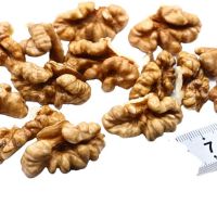 Factory supply walnut lowest price in shell walnuts kernels